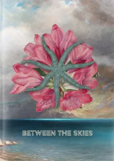 Between the Skies